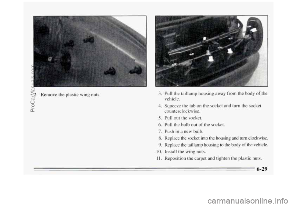 BUICK REGAL 1995 Owners Manual 2. Remove the plastic wing nuts. 3. Pull the taillamp housing away from the body of the
4. Squeeze the tab on the socket and turn the socket
5. Pull out the socket.
6. Pull the bulb out of the BUICK REGAL 1995 Owners Manual 2. Remove the plastic wing nuts. 3. Pull the taillamp housing away from the body of the
4. Squeeze the tab on the socket and turn the socket
5. Pull out the socket.
6. Pull the bulb out of the
