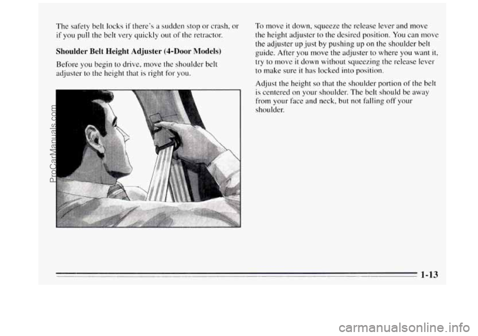 BUICK REGAL 1995 Owners Manual The safety belt locks if there’s a sudden  stop  or  crash,  or To move it down,  squeeze the release lever and move 
if you  pull  the belt  very  quickly out of the retractor. the height  adjuster