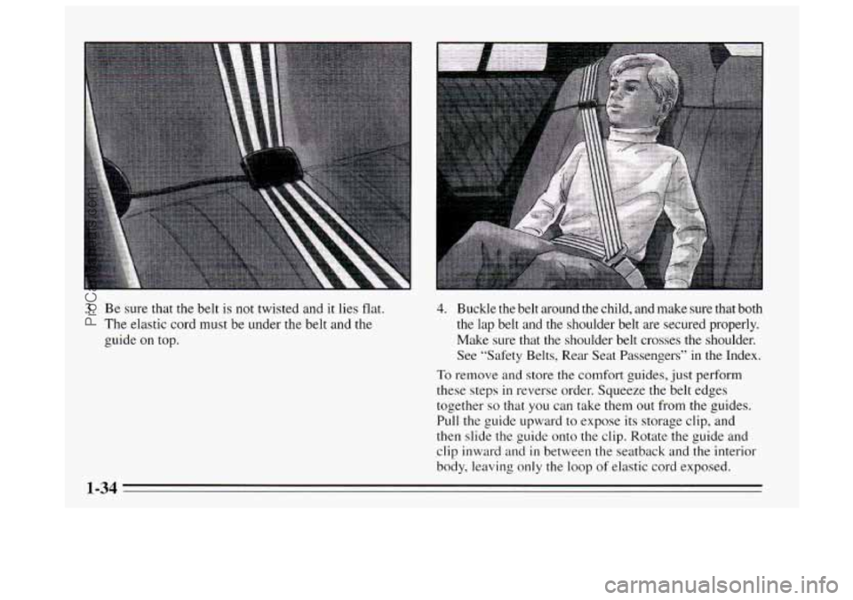 BUICK REGAL 1995 Owners Manual 3. Be sure that the belt is not twisted and it lies flat.
The elastic cord must be under the belt and
the
guide on top.
4. Buckle the belt around the child, and make sure that both
th BUICK REGAL 1995 Owners Manual 3. Be sure that the belt is not twisted and it lies flat.
The elastic cord must be under the belt and
the
guide on top.
4. Buckle the belt around the child, and make sure that both
th