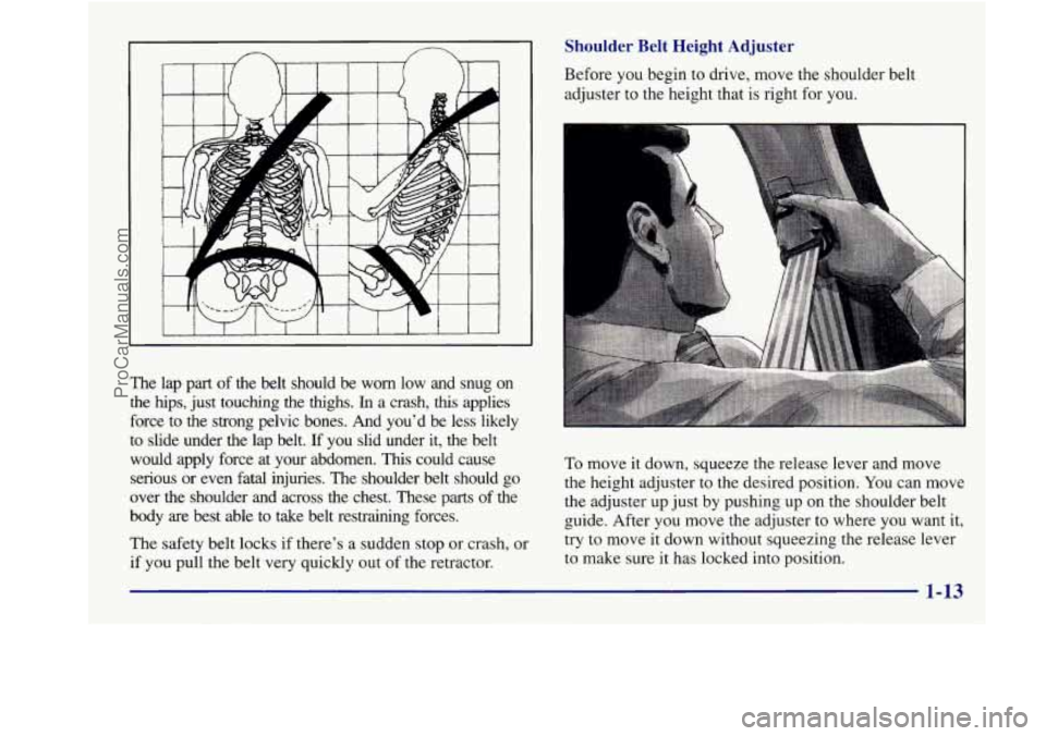 BUICK REGAL 1998 Owners Manual The lap part of the belt should be worn low and snug on
the hips, just touching the thighs.
In a crash, this applies
force to the strong pelvic bones. And you’d be less likely BUICK REGAL 1998 Owners Manual The lap part of the belt should be worn low and snug on
the hips, just touching the thighs.
In a crash, this applies
force to the strong pelvic bones. And you’d be less likely