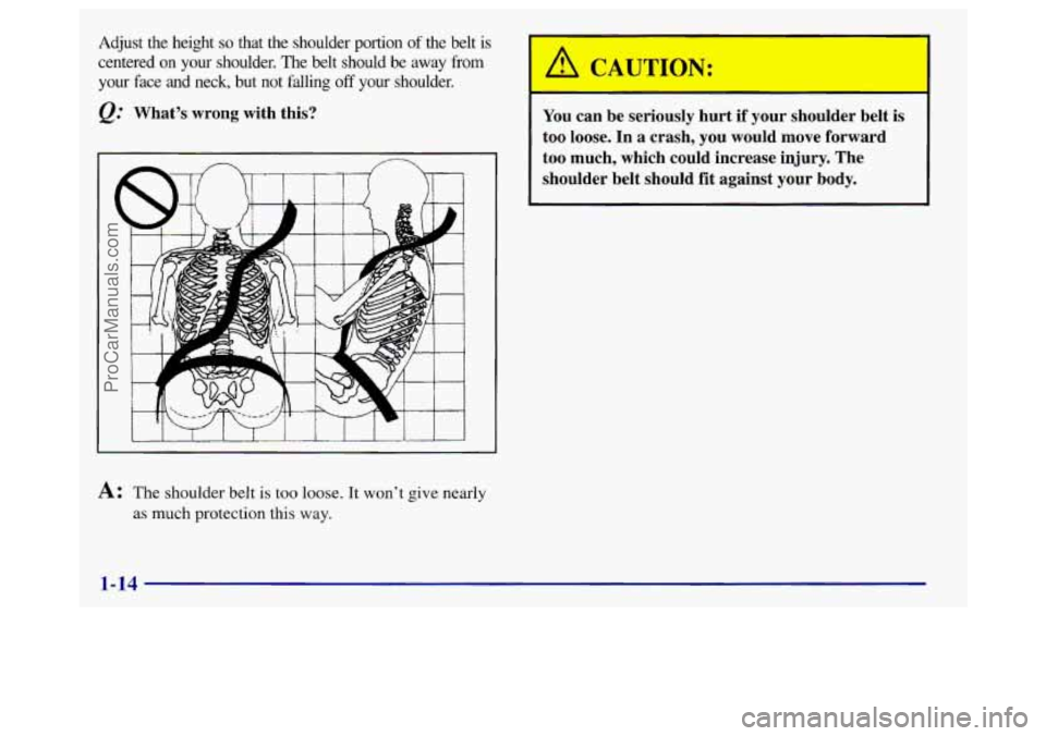 BUICK REGAL 1998 Owners Manual Adjust the height so that the shoulder portion of the belt is
centered on your shoulder. The belt should be away from
your face and neck, but not falling
off your shoulder.
&: BUICK REGAL 1998 Owners Manual Adjust the height so that the shoulder portion of the belt is
centered on your shoulder. The belt should be away from
your face and neck, but not falling
off your shoulder.
&:
