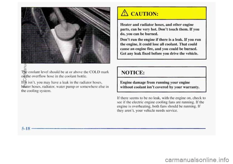 BUICK REGAL 1998 Owners Manual The coolant level should be at or above the COLD mark
on the overflow hose in the coolant bottle.
If it isn’t, you may have a leak in the radiator hoses,
heater hoses, radiator, water pump o BUICK REGAL 1998 Owners Manual The coolant level should be at or above the COLD mark
on the overflow hose in the coolant bottle.
If it isn’t, you may have a leak in the radiator hoses,
heater hoses, radiator, water pump o