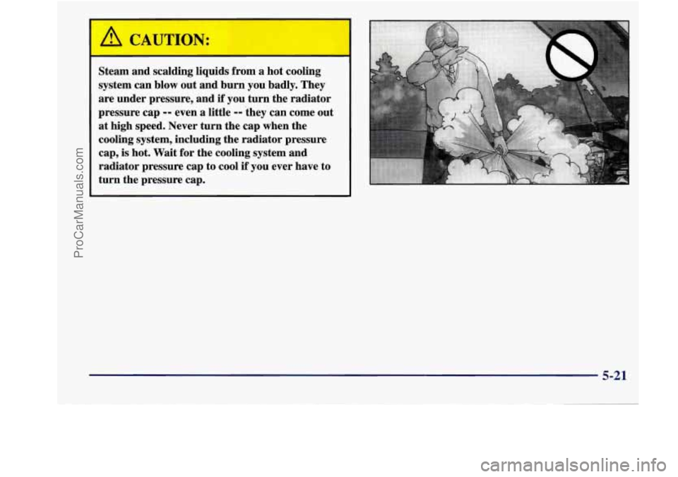 BUICK REGAL 1998 Owners Manual A CAUTION:
Steam and scalding liquids from a hot cooling
system can blow out and burn you badly. They
are under pressure, and
if you turn the radiator
pressure cap
-- even a litt BUICK REGAL 1998 Owners Manual A CAUTION:
Steam and scalding liquids from a hot cooling
system can blow out and burn you badly. They
are under pressure, and
if you turn the radiator
pressure cap
-- even a litt