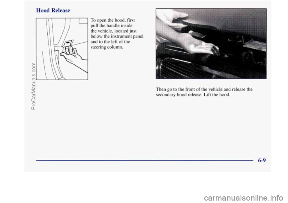 BUICK REGAL 1998 Owners Manual Hood Release
To open the hood, first
pull the handle inside
the vehicle, located just
below the instrument panel
and to the left of the
steering column.
Then go to the front of the BUICK REGAL 1998 Owners Manual Hood Release
To open the hood, first
pull the handle inside
the vehicle, located just
below the instrument panel
and to the left of the
steering column.
Then go to the front of the