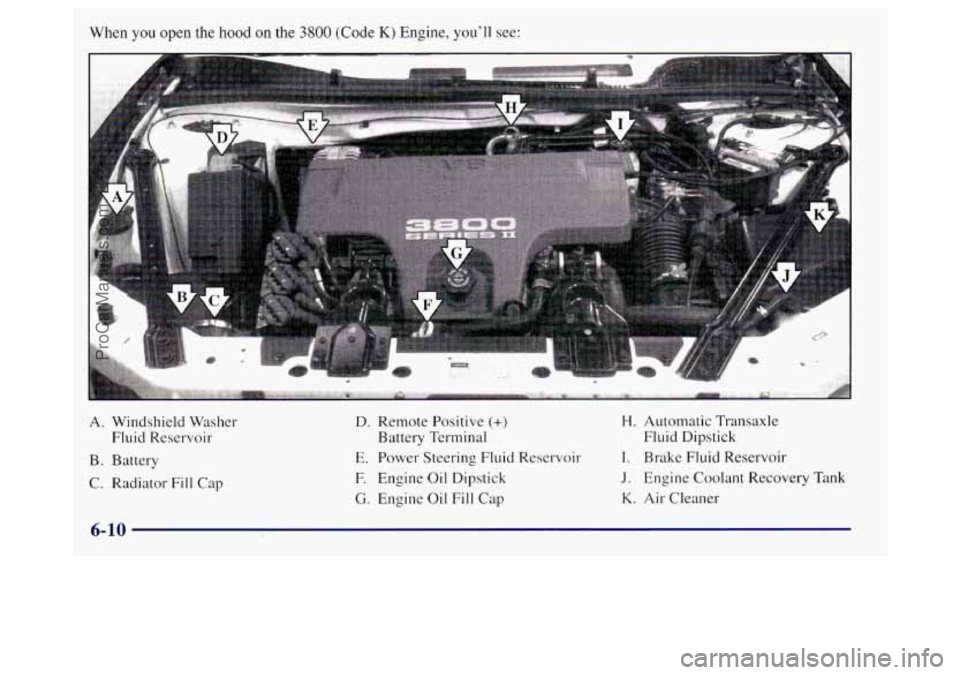 BUICK REGAL 1998 Owners Manual When you open the hood on the 3800 (Code K) Engine, you’ll see:
A. Windshield Washer
Fluid Reservoir
B. Battery
C. Radiator Fill Cap
D. Remote Positive (+)
Battery Terminal
E. Power Steer BUICK REGAL 1998 Owners Manual When you open the hood on the 3800 (Code K) Engine, you’ll see:
A. Windshield Washer
Fluid Reservoir
B. Battery
C. Radiator Fill Cap
D. Remote Positive (+)
Battery Terminal
E. Power Steer