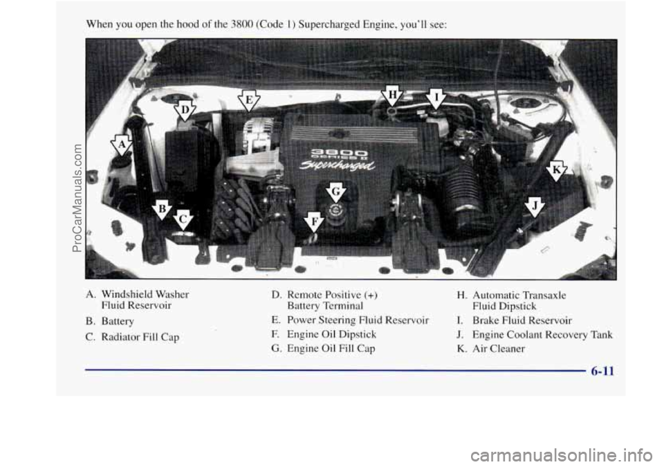 BUICK REGAL 1998 Owners Manual When you open the hood of the 3800 (Code 1) Supercharged Engine, you’ll see:
H
A. Windshield Washer
Fluid Reservoir
B. Battery
C. Radiator Fill Cap
D. Remote Positive (+) H. Automatic Tran BUICK REGAL 1998 Owners Manual When you open the hood of the 3800 (Code 1) Supercharged Engine, you’ll see:
H
A. Windshield Washer
Fluid Reservoir
B. Battery
C. Radiator Fill Cap
D. Remote Positive (+) H. Automatic Tran