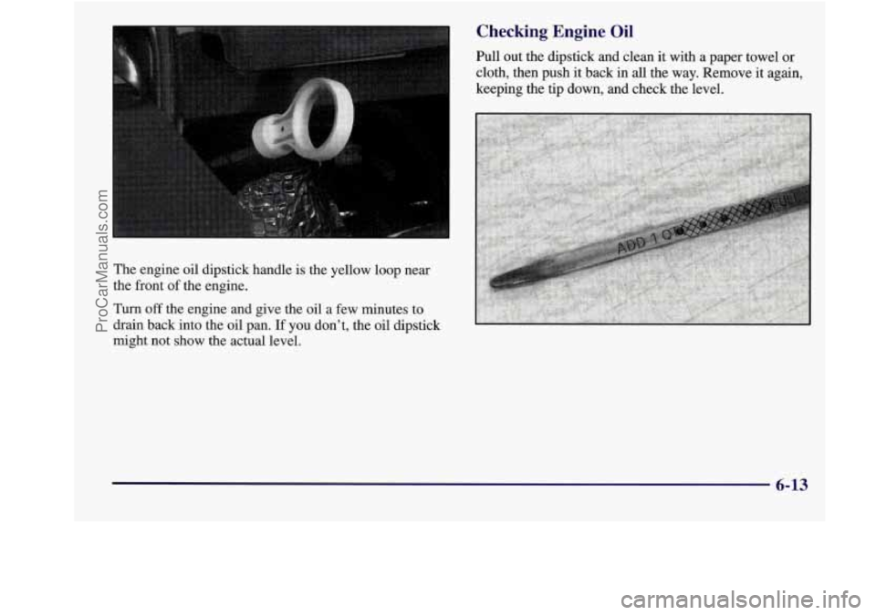 BUICK REGAL 1998 Owners Manual Checking Engine Oil
Pull out the dipstick and clean it with a paper towel or
cloth, then push it back in all the way. Remove it again,
keeping the tip down, and check the level.
T BUICK REGAL 1998 Owners Manual Checking Engine Oil
Pull out the dipstick and clean it with a paper towel or
cloth, then push it back in all the way. Remove it again,
keeping the tip down, and check the level.
T