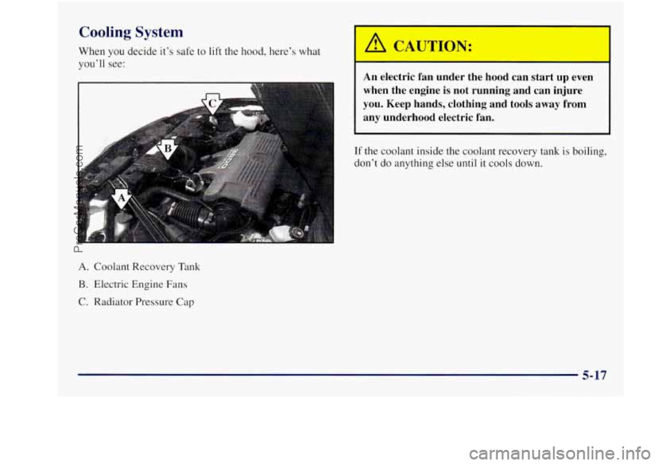 BUICK REGAL 1997 Owners Manual Cooling System
When you decide it’s safe to lift the hood, here’s what
you’ll see:
A. Coolant Recovery Tank
B. Electric Engine Fans
C. Radiator Pressure Cap
h!~ CAUTION:
An electric BUICK REGAL 1997 Owners Manual Cooling System
When you decide it’s safe to lift the hood, here’s what
you’ll see:
A. Coolant Recovery Tank
B. Electric Engine Fans
C. Radiator Pressure Cap
h!~ CAUTION:
An electric