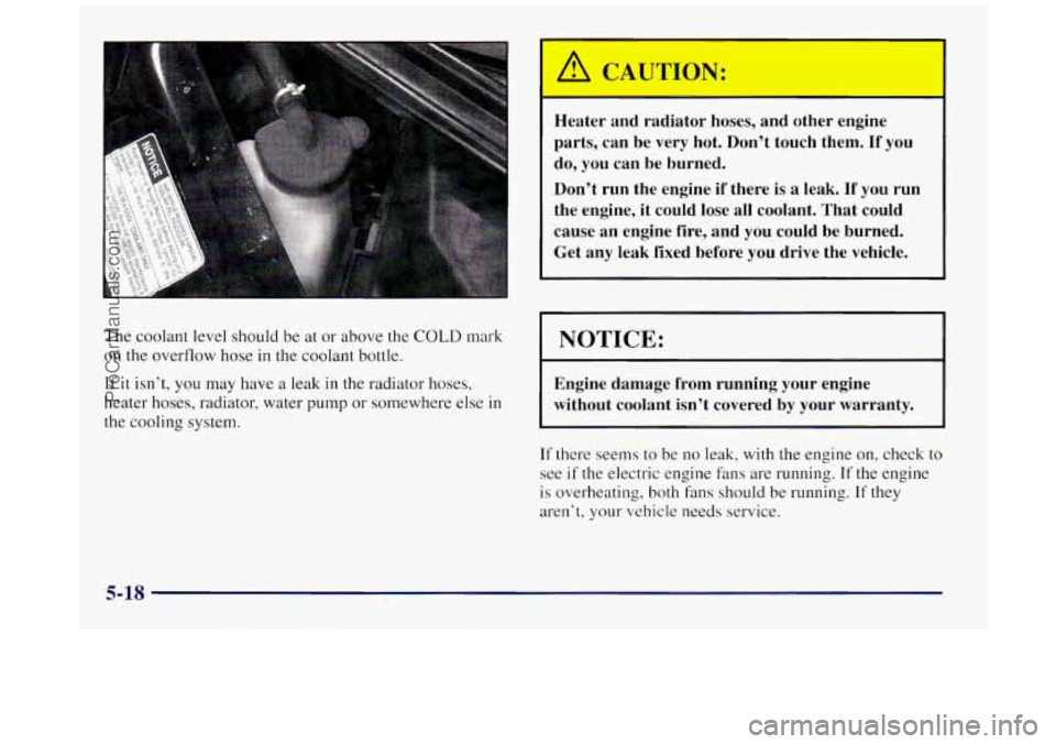 BUICK REGAL 1997 Owners Manual The coolant level should be at or above the COLD mark
on the overflow hose in the coolant bottle.
If it isn’t, you may have a leak in the radiator hoses,
heater hoses, radiator, water
pum BUICK REGAL 1997 Owners Manual The coolant level should be at or above the COLD mark
on the overflow hose in the coolant bottle.
If it isn’t, you may have a leak in the radiator hoses,
heater hoses, radiator, water
pum