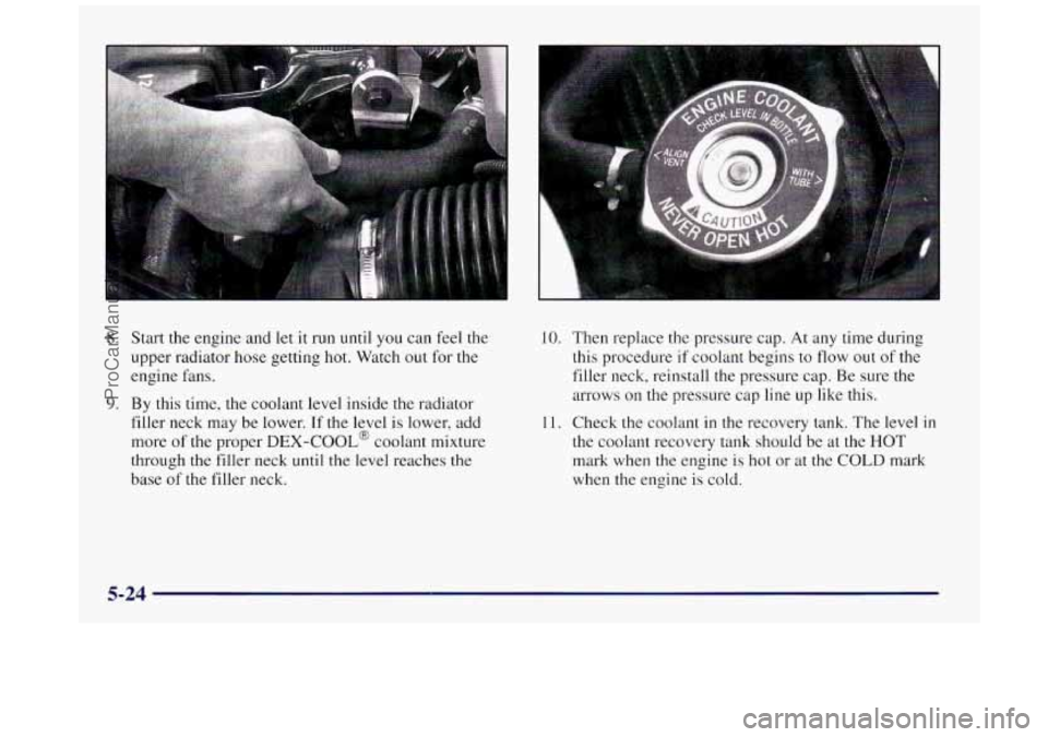 BUICK REGAL 1997 Owners Manual 8. Start the engine and let it run until you can feel the
upper radiator hose getting hot. Watch out for
the
engine fans.
9. By this time, the coolant level inside the radiator
filler neck BUICK REGAL 1997 Owners Manual 8. Start the engine and let it run until you can feel the
upper radiator hose getting hot. Watch out for
the
engine fans.
9. By this time, the coolant level inside the radiator
filler neck