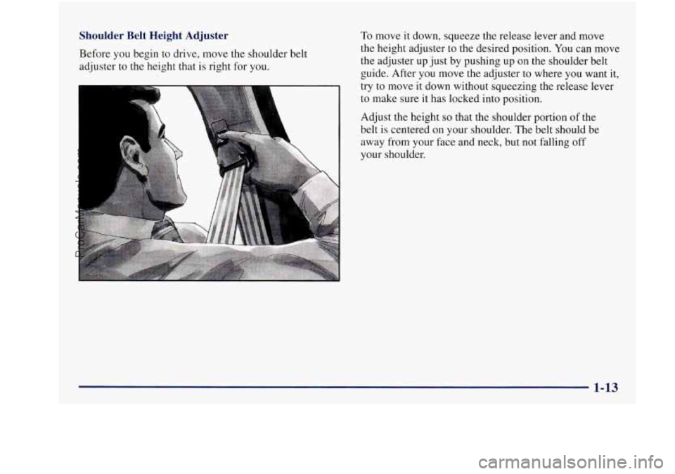 BUICK REGAL 1997 Owners Manual Shoulder  Belt  Height  Adjuster 
Before you begin  to  drive,  move  the  shoulder  belt 
adjuster  to the height  that 
is right for  you. 
To move it down,  squeeze  the  release  lever and move 
t