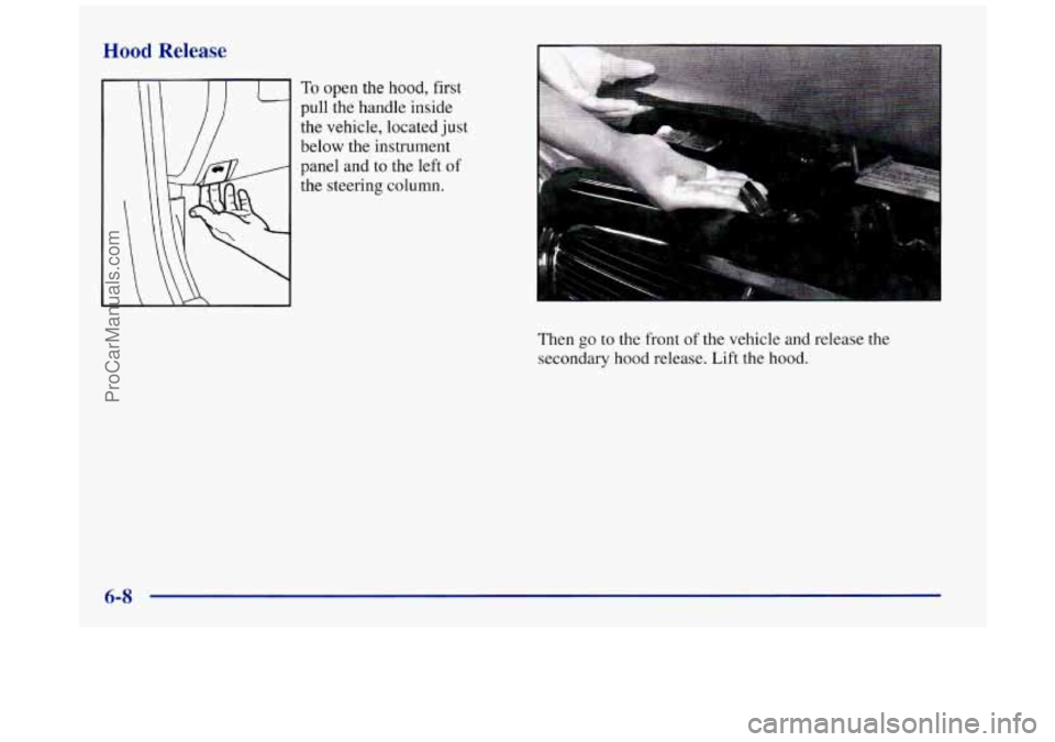 BUICK REGAL 1997 Owners Manual Hood Release
To open the hood, first
pull the handle inside
the vehicle, located just
below the instrument
panel and to the left
of
the steering column.
Then
go to the front of the vehi BUICK REGAL 1997 Owners Manual Hood Release
To open the hood, first
pull the handle inside
the vehicle, located just
below the instrument
panel and to the left
of
the steering column.
Then
go to the front of the vehi