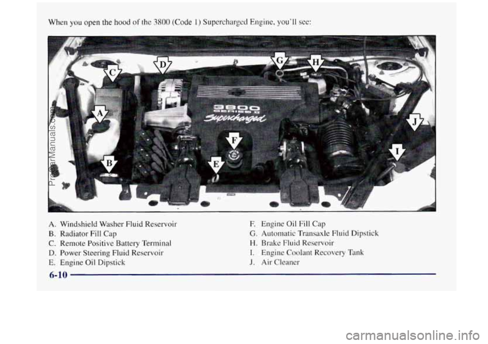 BUICK REGAL 1997  Owners Manual When you open the hood of the 3800 (Code 1) Supercharged Engine, you’ll see: 
A. Windshield Washer Fluid Reservoir 
B. Radiator Fill Cap 
C.  Remote  Positive Battery Terminal 
D. Power Steering Flu