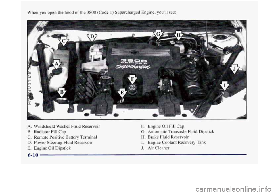 BUICK REGAL 1997 Owners Manual When you open the hood of the 3800 (Code 1) Supercharged Engine, you’ll see:
A. Windshield Washer Fluid Reservoir
B. Radiator Fill Cap
C. Remote Positive Battery Terminal
D. Power Steering Flu BUICK REGAL 1997 Owners Manual When you open the hood of the 3800 (Code 1) Supercharged Engine, you’ll see:
A. Windshield Washer Fluid Reservoir
B. Radiator Fill Cap
C. Remote Positive Battery Terminal
D. Power Steering Flu