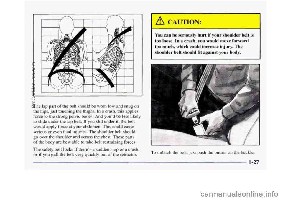 BUICK REGAL 1997 Service Manual The lap part of the belt should be  worn  low and snug on 
the hips,  just touching the thighs. In a crash, this applies 
force to the strong pelvic bones.  And  you’d be less  likely 
to slide unde