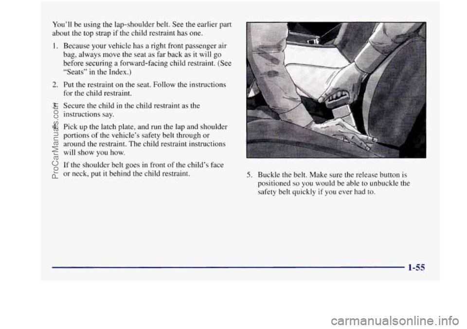 BUICK REGAL 1997 Repair Manual You’ll be using the lap-shoulder belt. See the earlier part
about the top strap if the child restraint has
one.
1.
2.
3.
4.
Because your vehicle has a right front passenger a BUICK REGAL 1997 Repair Manual You’ll be using the lap-shoulder belt. See the earlier part
about the top strap if the child restraint has
one.
1.
2.
3.
4.
Because your vehicle has a right front passenger a