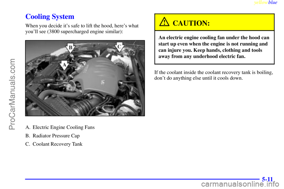 BUICK REGAL 1999  Owners Manual yellowblue     
5-11
Cooling System
When you decide its safe to lift the hood, heres what
youll see (3800 supercharged engine similar):
A. Electric Engine Cooling Fans
B. Radiator Pressure Cap
C. C