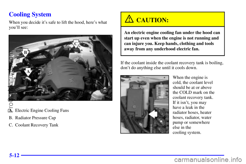 BUICK REGAL 2001 Owners Manual 5-12
Cooling System
When you decide its safe to lift the hood, heres what
youll see:
A. Electric Engine Cooling Fans
B. Radiator Pressure Cap
C. Coolant Recovery Tank
CAUTION:
An electric engine co BUICK REGAL 2001 Owners Manual 5-12
Cooling System
When you decide its safe to lift the hood, heres what
youll see:
A. Electric Engine Cooling Fans
B. Radiator Pressure Cap
C. Coolant Recovery Tank
CAUTION:
An electric engine co