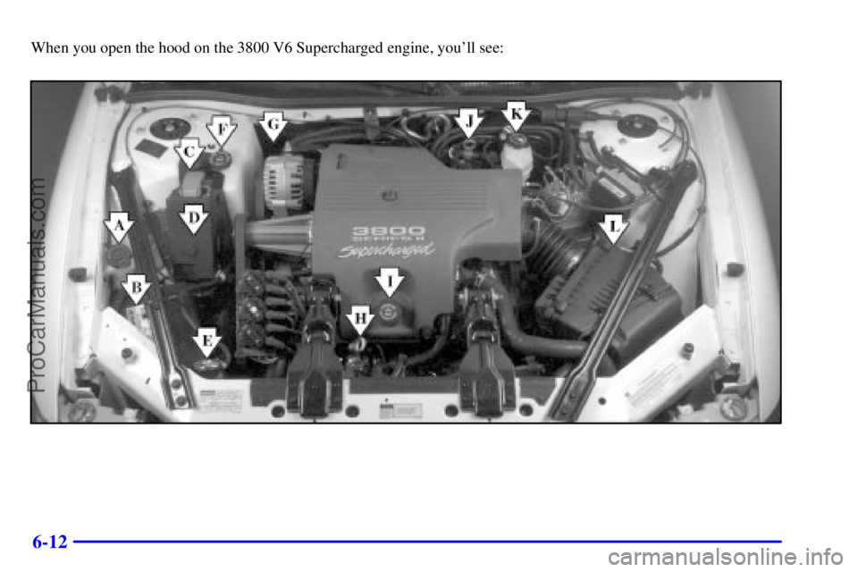BUICK REGAL 2001  Owners Manual 6-12
When you open the hood on the 3800 V6 Supercharged engine, youll see:
ProCarManuals.com 