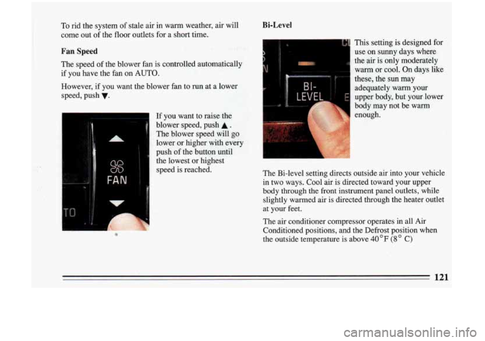 BUICK RIVIERA 1993 Owners Manual To rid the system of stale air in warm weather, air will
come out of the floor outlets for a short time.
Fan Speed
Bi-Level
H
The speed of the blower fan is controlled automanc BUICK RIVIERA 1993 Owners Manual To rid the system of stale air in warm weather, air will
come out of the floor outlets for a short time.
Fan Speed
Bi-Level
H
The speed of the blower fan is controlled automanc