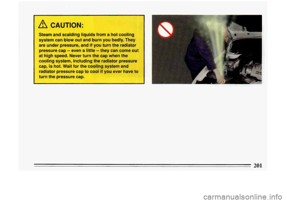 BUICK RIVIERA 1993  Owners Manual A CAUTION: 
Steam and scalding  liquids  from a hot  cooling 
system can blow  out and  burn  you  badly.  They 
are  under  pressure,  and if  you  turn  the radiator 
pressure cap 
-- even  a  littl