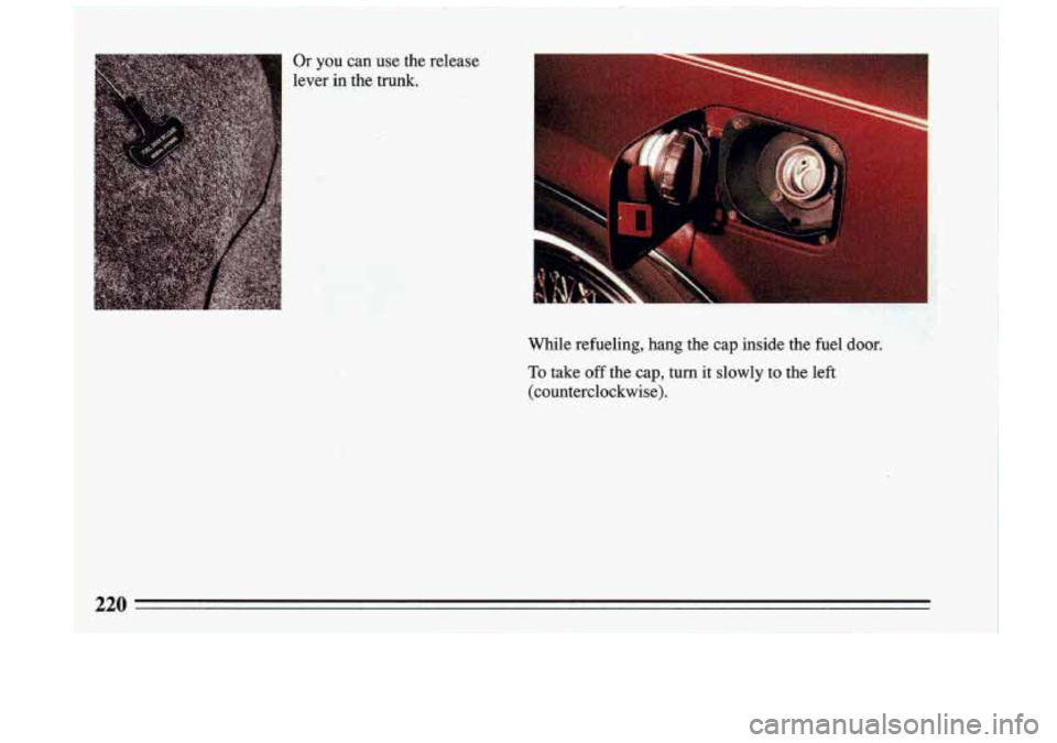 BUICK RIVIERA 1993  Owners Manual Or  you  can  use  the  release 
lever 
in the  trunk. 
While  refueling,  hang  the  cap  inside  the  fuel  door. 
To take  off  the  cap,  turn  it  slowly  to  the left 
(counterclockwise). 
220  
