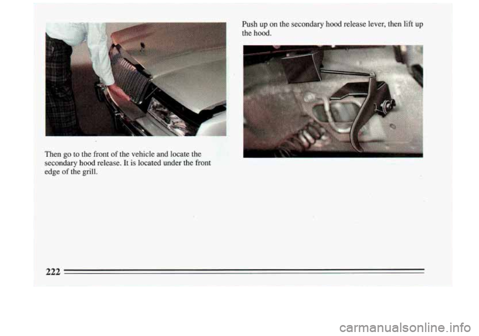 BUICK RIVIERA 1993  Owners Manual Then  go  to  the  front of the  vehicle  and  locate  the 
secondary 
hood release.  It  is  located  under  the front 
edge of the  grill.  Push  up  on  the  secondary 
hood release  lever,  then  