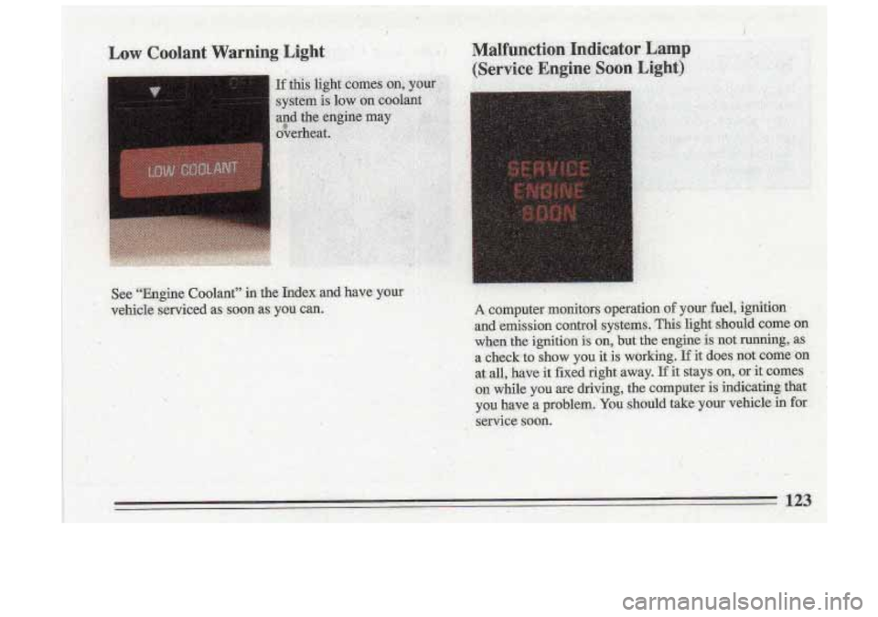 BUICK ROADMASTER 1993  Owners Manual 