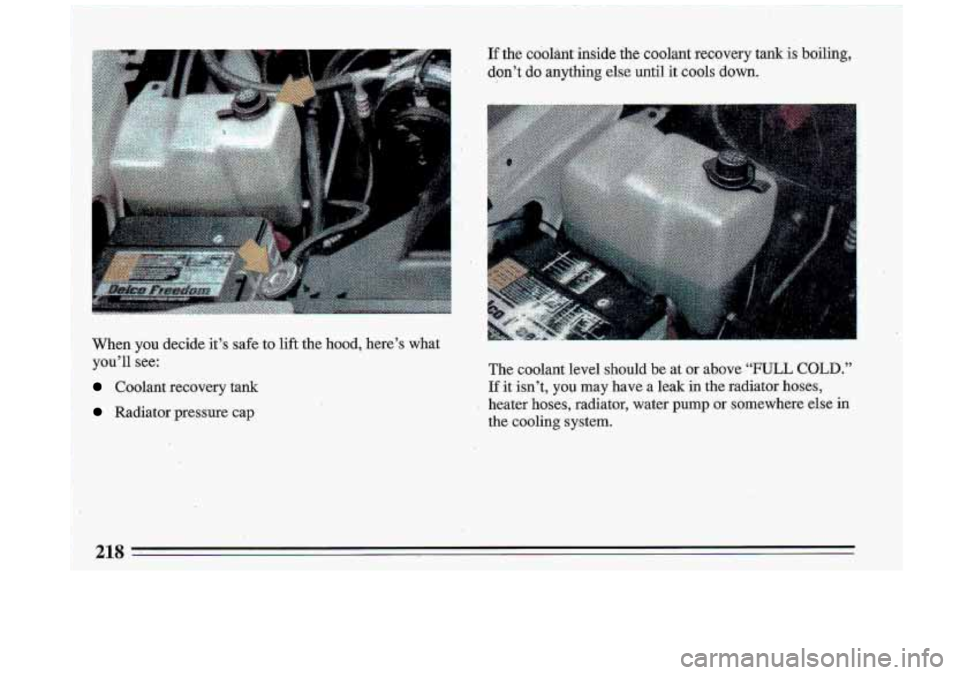 BUICK ROADMASTER 1993  Owners Manual When  you  decide  it’s safe to lift the hood, here’s  what 
you’ll  see: 
Coolant  recovery  tank 
Radiator  pressure  cap  