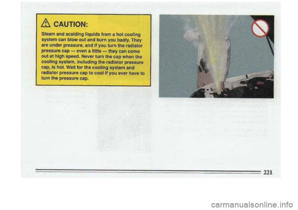 BUICK ROADMASTER 1993  Owners Manual I :I  