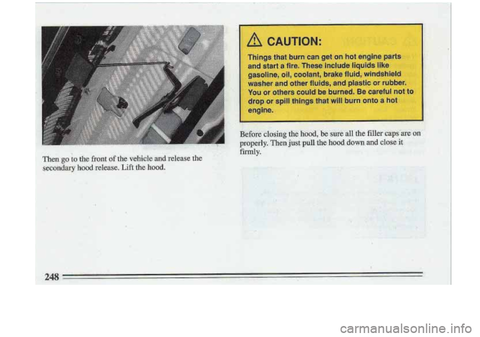 BUICK ROADMASTER 1993  Owners Manual 