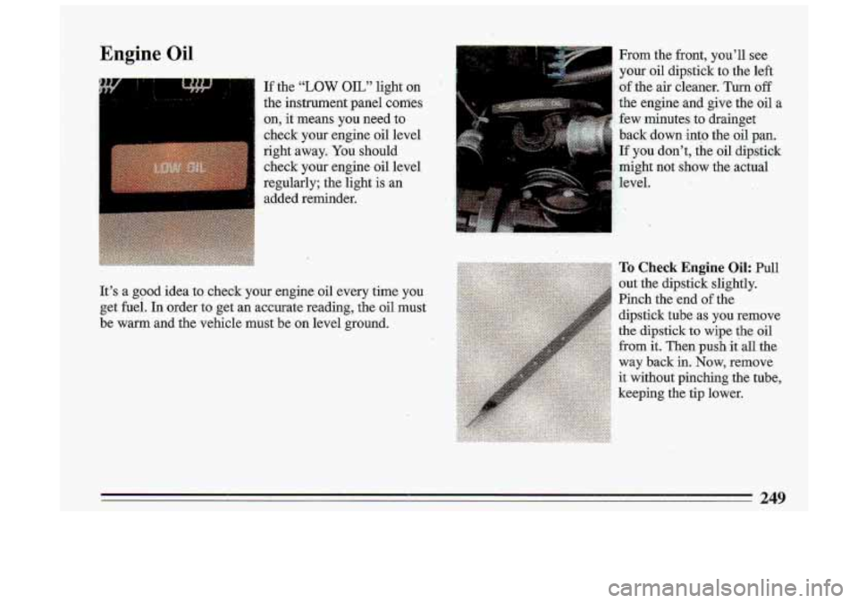 BUICK ROADMASTER 1993  Owners Manual Engine OiI 
If the "LOW OIL"  light  on  
the  instrument panel comes 
on,  it means  .you  need  to 
check  your  engine  oil  level 
right  away.  You should 
check  your  engine  oil  level 
regul