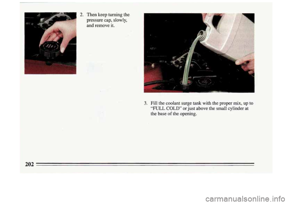 BUICK SKYLARK 1993  Owners Manual 2. Then keep  turning  the 
‘pressure  cap,  slowly,  and  remove 
it. 
F------- 
3. Fill  the  coolant  surge tank with  the  proper mix, up to 
“FULL COLD’ or  just  above  the  small  cylinde