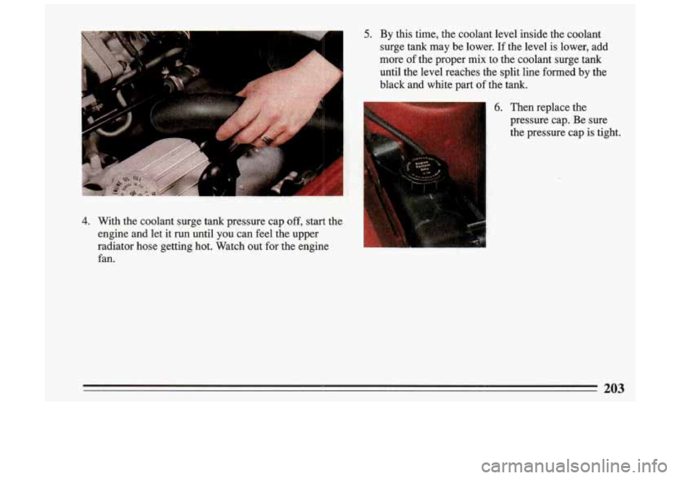 BUICK SKYLARK 1993  Owners Manual 4. 
5. By this  time,  the  coolant  level inside the  coolant 
surge  tank  may  be  lower.  If the  level  is  lower,  add 
more  of the  proper  mix  to  the  coolant  surge  tank 
until  the  leve