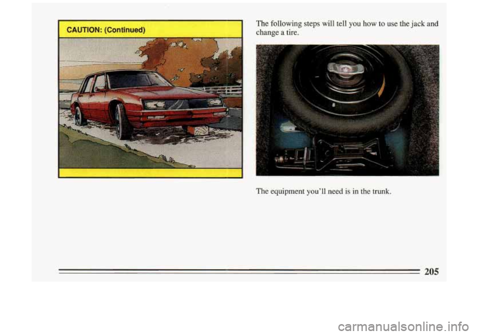 BUICK SKYLARK 1993  Owners Manual I  The following  steps  will  tell  you  how to  use the jack  and 
change  a  tire. 
The  equipment  youll need  is  in  the  trunk. 
205  