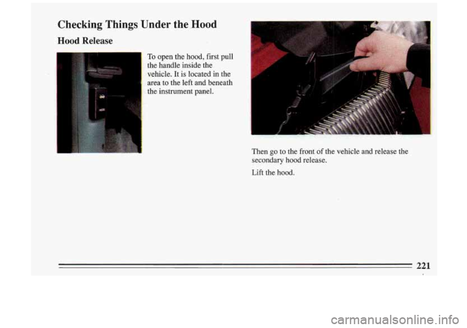 BUICK SKYLARK 1993 Owners Manual Checking Things Under the .Hood
Hood Release
I
To open the hood, first pull
the handle inside the
vehicle. It
is located in the
area to the left and beneath
the instrument panel.
BUICK SKYLARK 1993 Owners Manual Checking Things Under the .Hood
Hood Release
I
To open the hood, first pull
the handle inside the
vehicle. It
is located in the
area to the left and beneath
the instrument panel.