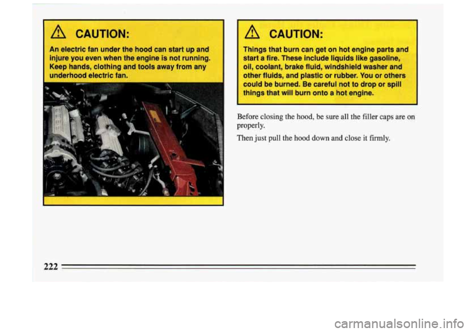 BUICK SKYLARK 1993 Owners Manual I1
A CAUTION:
An electric fan under the hood can start up and
injure you even when the engine is not running
Keep hands, clothing and tools away from any
underhood electric fan.
C BUICK SKYLARK 1993 Owners Manual I1
A CAUTION:
An electric fan under the hood can start up and
injure you even when the engine is not running
Keep hands, clothing and tools away from any
underhood electric fan.
C