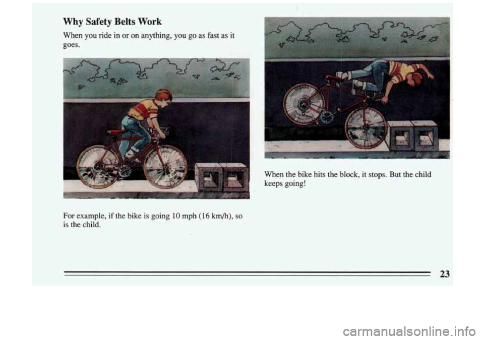 BUICK SKYLARK 1993  Owners Manual Why  Safety Belts Work 
When you ride in or on  anything, you go as  fast  as  it 
goes. 
When  the  bike  hits  the  block, it stops.  But the  child 
keeps  going! 
For example,  if the bike  is  go