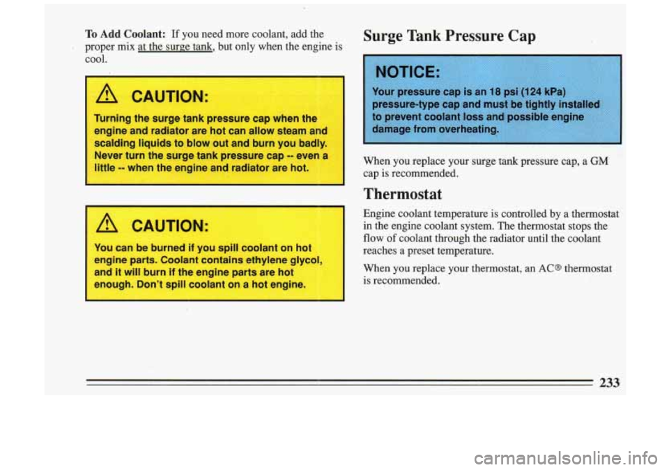 BUICK SKYLARK 1993 Owners Manual To Add Coolant: If you need more coolant, add the
proper mix at the surge tank, but only when the engine is cool.
A CAUTION:
Turning the surge tank pressure cap when the
engine a BUICK SKYLARK 1993 Owners Manual To Add Coolant: If you need more coolant, add the
proper mix at the surge tank, but only when the engine is cool.
A CAUTION:
Turning the surge tank pressure cap when the
engine a
