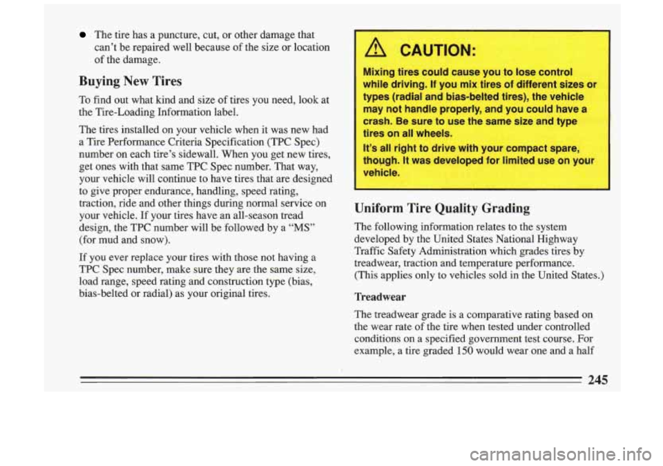BUICK SKYLARK 1993  Owners Manual The tire  has  a  puncture,  cut,  or  other  damage  that 
can’t  be  repaired  well  because  of the  size  or  location 
of  the  damage. 
Buying  New  Tires 
To  find  out  what  kind  and  size