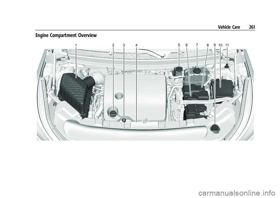 BUICK ENCLAVE 2021 Manual PDF Buick Enclave Owner Manual (GMNA-Localizing-U.S./Canada/Mexico-
14637843) - 2021 - CRC - 12/9/20
Vehicle Care 261
Engine Compartment Overview BUICK ENCLAVE 2021 Manual PDF Buick Enclave Owner Manual (GMNA-Localizing-U.S./Canada/Mexico-
14637843) - 2021 - CRC - 12/9/20
Vehicle Care 261
Engine Compartment Overview