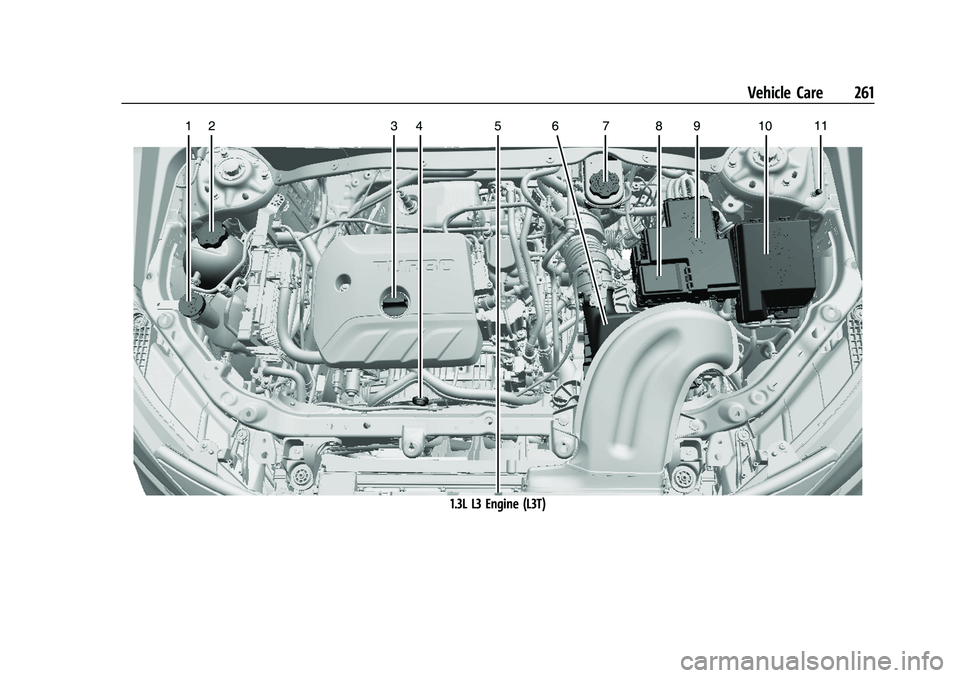 BUICK ENCORE GX 2022 Owners Manual Buick Encore GX Owner Manual (GMNA-Localizing-U.S./Canada/Mexico-
15481080) - 2022 - CRC - 6/1/21
Vehicle Care 261
1.3L L3 Engine (L3T) BUICK ENCORE GX 2022 Owners Manual Buick Encore GX Owner Manual (GMNA-Localizing-U.S./Canada/Mexico-
15481080) - 2022 - CRC - 6/1/21
Vehicle Care 261
1.3L L3 Engine (L3T)