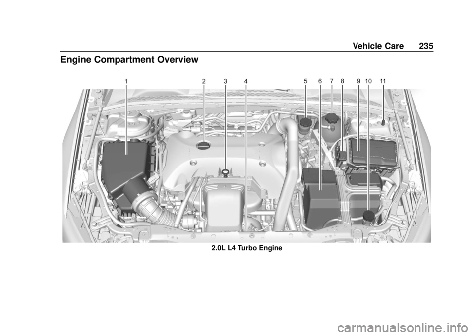 BUICK REGAL 2020 Owners Manual Buick Regal Owner Manual (GMNA-Localizing-U.S./Canada-13557849) -
2020 - CRC - 6/25/19
Vehicle Care 235
Engine Compartment Overview
2.0L L4 Turbo Engine BUICK REGAL 2020 Owners Manual Buick Regal Owner Manual (GMNA-Localizing-U.S./Canada-13557849) -
2020 - CRC - 6/25/19
Vehicle Care 235
Engine Compartment Overview
2.0L L4 Turbo Engine