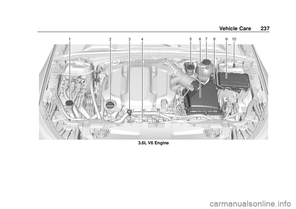 BUICK REGAL 2020 Owners Manual Buick Regal Owner Manual (GMNA-Localizing-U.S./Canada-13557849) -
2020 - CRC - 6/25/19
Vehicle Care 237
3.6L V6 Engine BUICK REGAL 2020 Owners Manual Buick Regal Owner Manual (GMNA-Localizing-U.S./Canada-13557849) -
2020 - CRC - 6/25/19
Vehicle Care 237
3.6L V6 Engine
