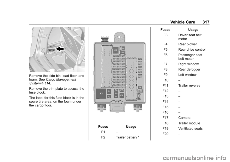 GMC ACADIA 2019  Owners Manual GMC Acadia/Acadia Denali Owner Manual (GMNA-Localizing-U.S./Canada/
Mexico-12146149) - 2019 - crc - 7/30/18
Vehicle Care 317
Remove the side bin, load floor, and
foam. SeeCargo Management
System 0114.