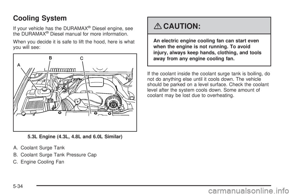 GMC SIERRA 2008  Owners Manual Cooling System
If your vehicle has the DURAMAX®Diesel engine, see
the DURAMAX®Diesel manual for more information.
When you decide it is safe to lift the hood, here is what
you will see:
A. Coolant S