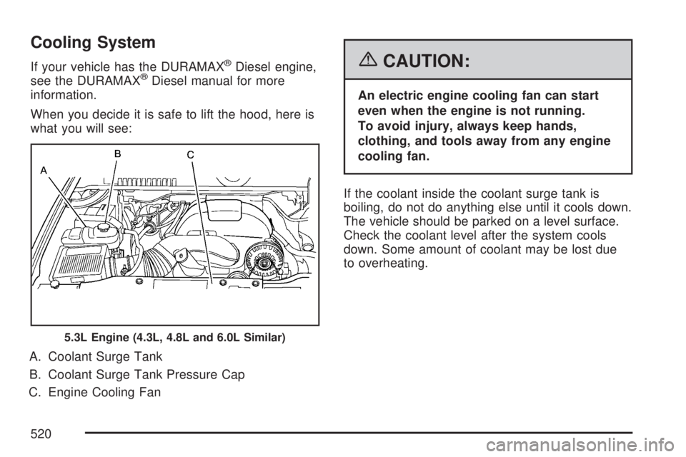 GMC SIERRA 2007  Owners Manual Cooling System
If your vehicle has the DURAMAX®Diesel engine,
see the DURAMAX®Diesel manual for more
information.
When you decide it is safe to lift the hood, here is
what you will see:
A. Coolant S