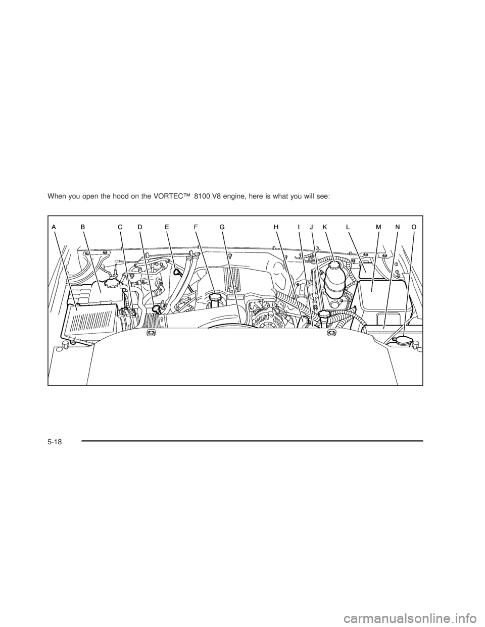 GMC SIERRA 2005  Owners Manual When you open the hood on the VORTEC™ 8100 V8 engine, here is what you will see:
5-18 