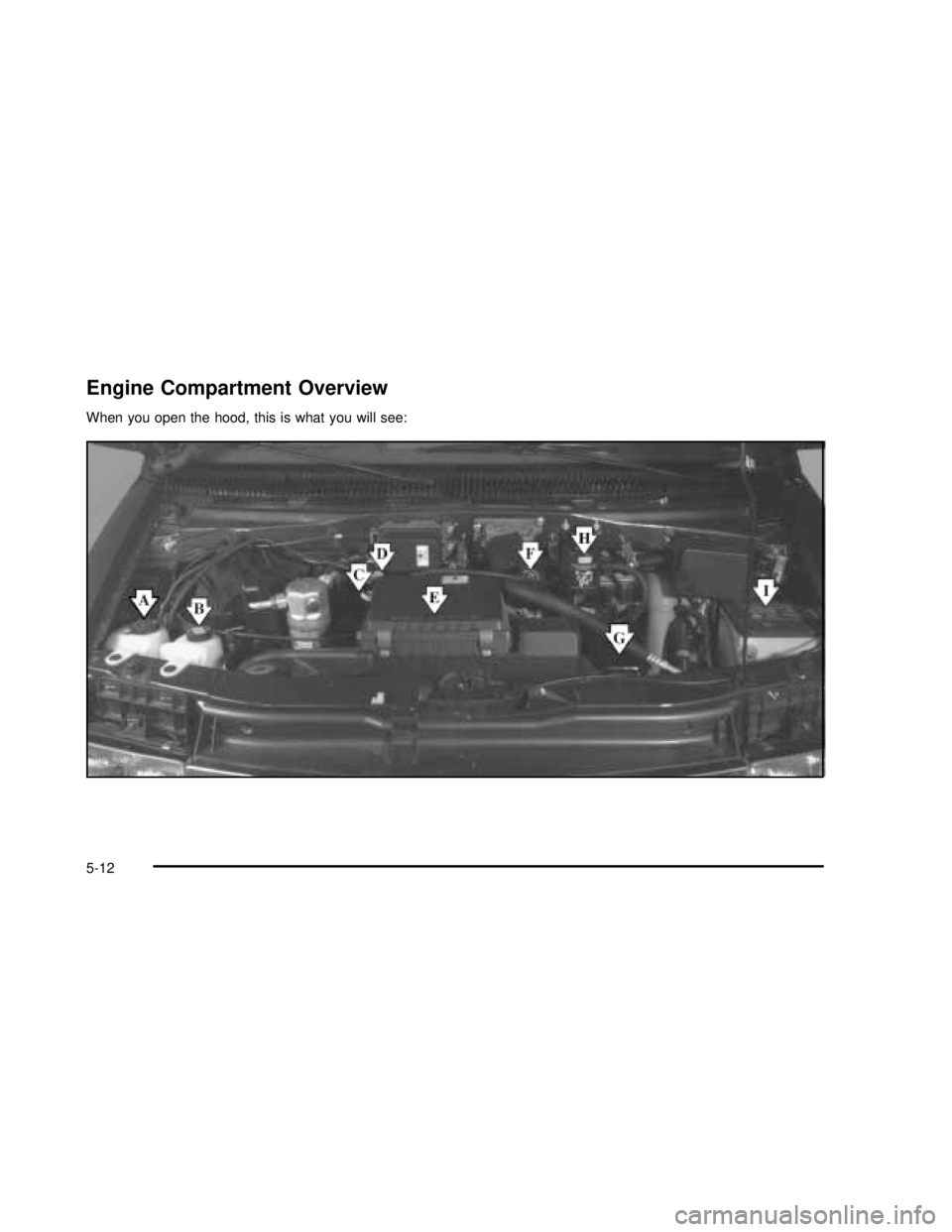 GMC SAFARI 2003  Owners Manual Engine Compartment Overview
When you open the hood, this is what you will see:
5-12
2003 - Safari OM 