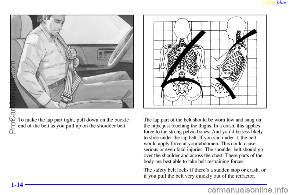 GMC ENVOY 1999 User Guide yellowblue
1-14
5. To make the lap part tight, pull down on the buckle
end of the belt as you pull up on the shoulder belt.The lap part of the belt should be worn low and snug on
the hips, just t GMC ENVOY 1999 User Guide yellowblue
1-14
5. To make the lap part tight, pull down on the buckle
end of the belt as you pull up on the shoulder belt.The lap part of the belt should be worn low and snug on
the hips, just t